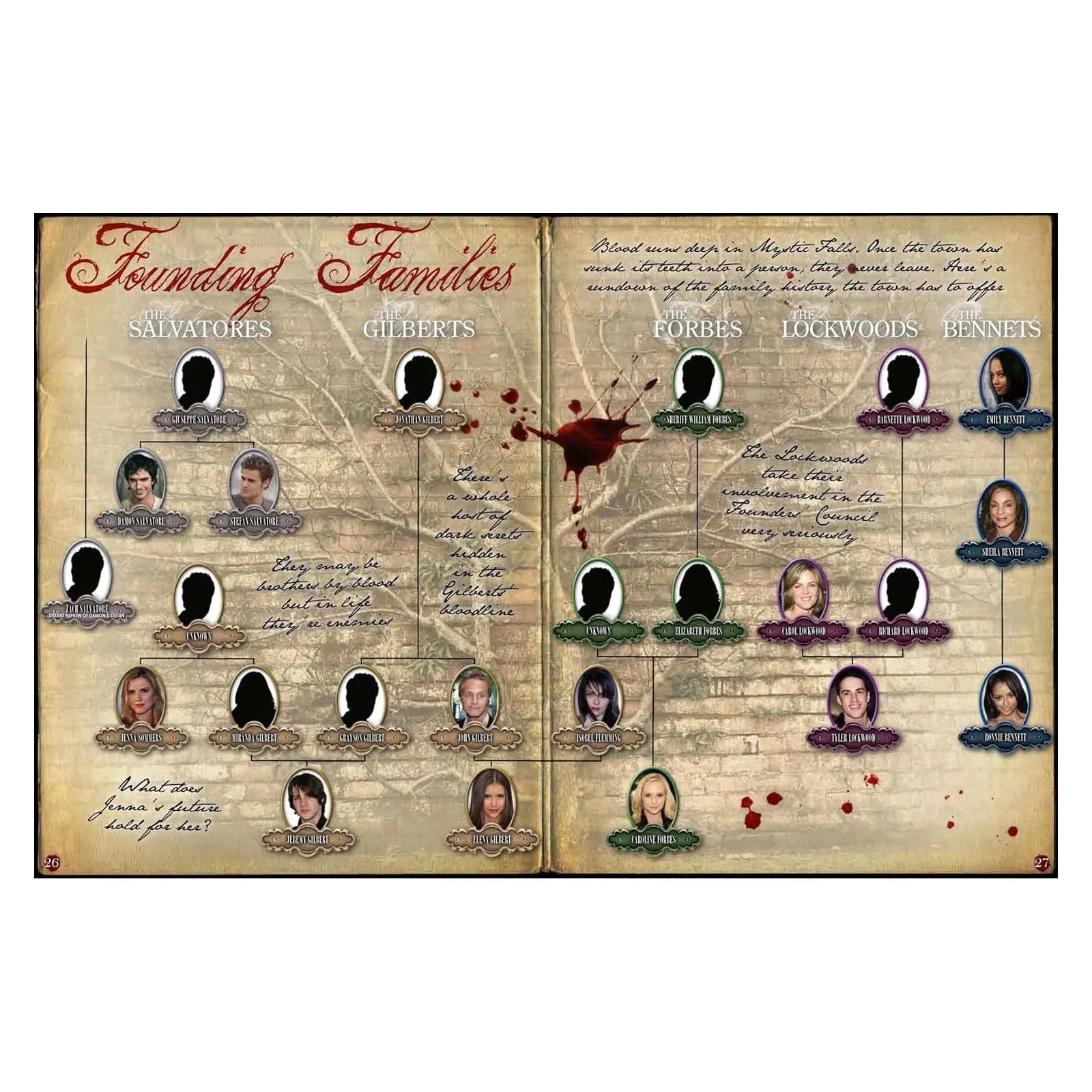 100% The Vampire Diaries Harcover Book Unofficial Guide with FREE Poster