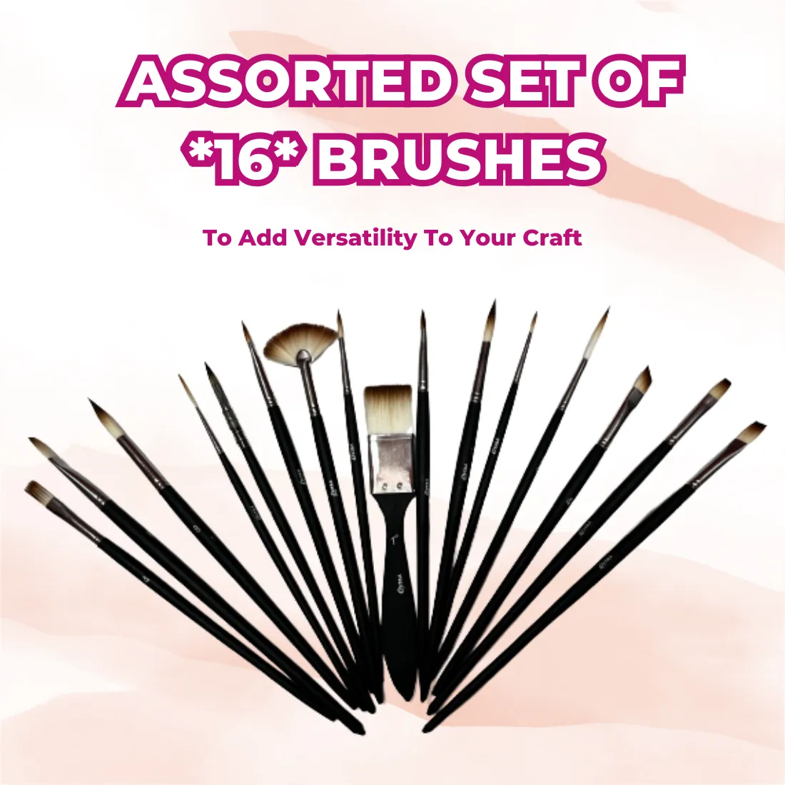 All in One Brushes Set of 16