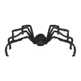 Black Walking Spider