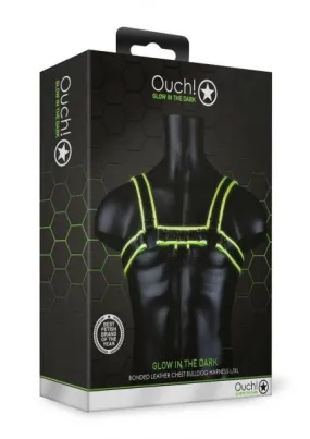 Chest Bulldog Harness