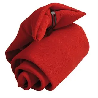 Clip on Tie (PR710)