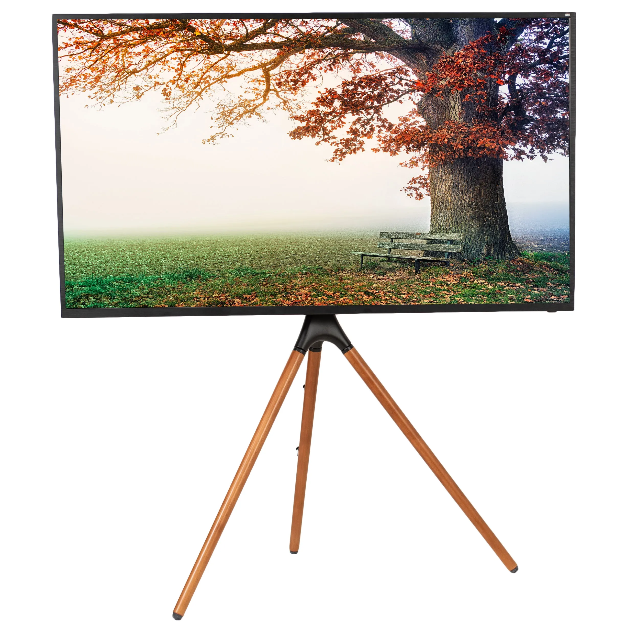 Easel Stand for 45" to 65" TVs