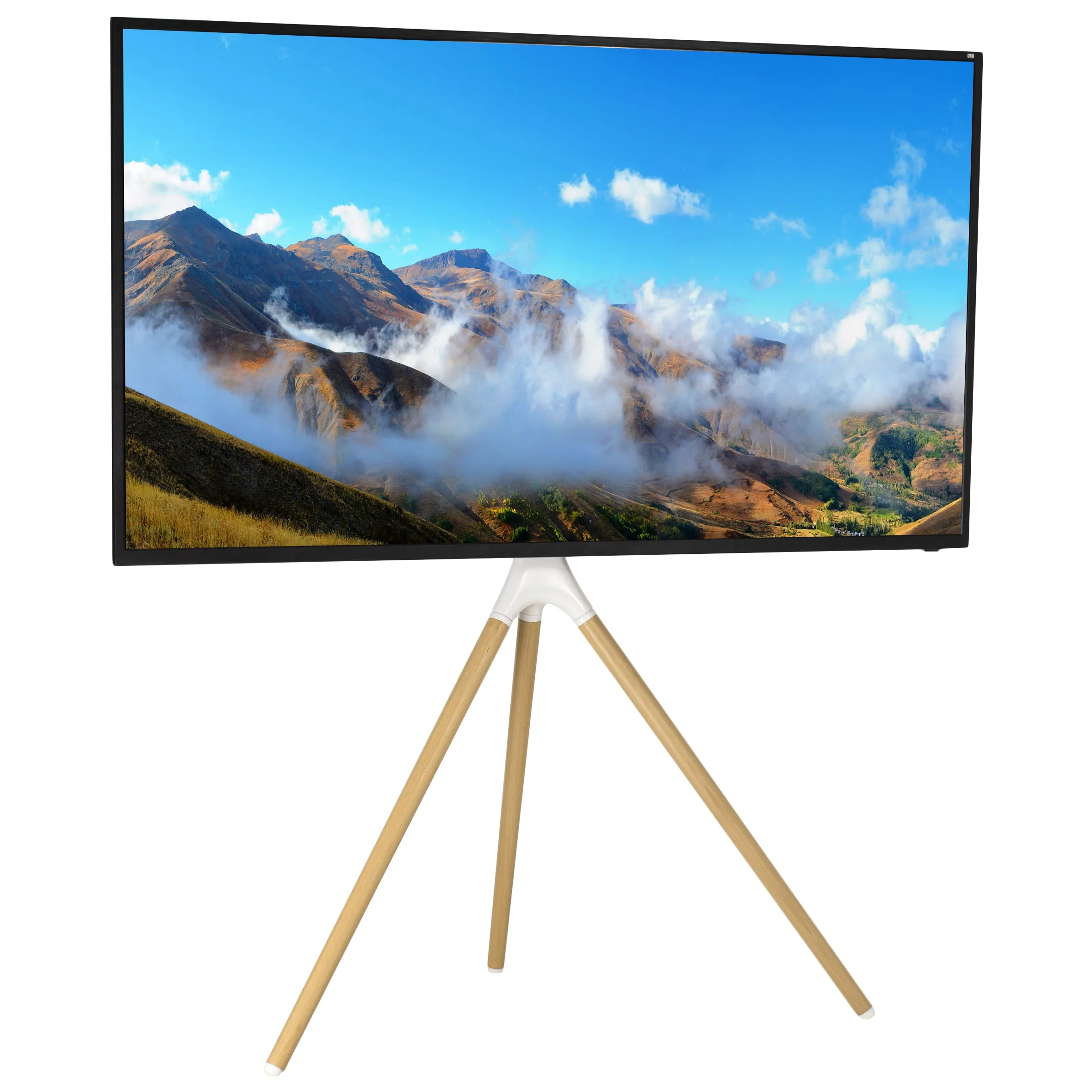 Easel Stand for 45" to 65" TVs