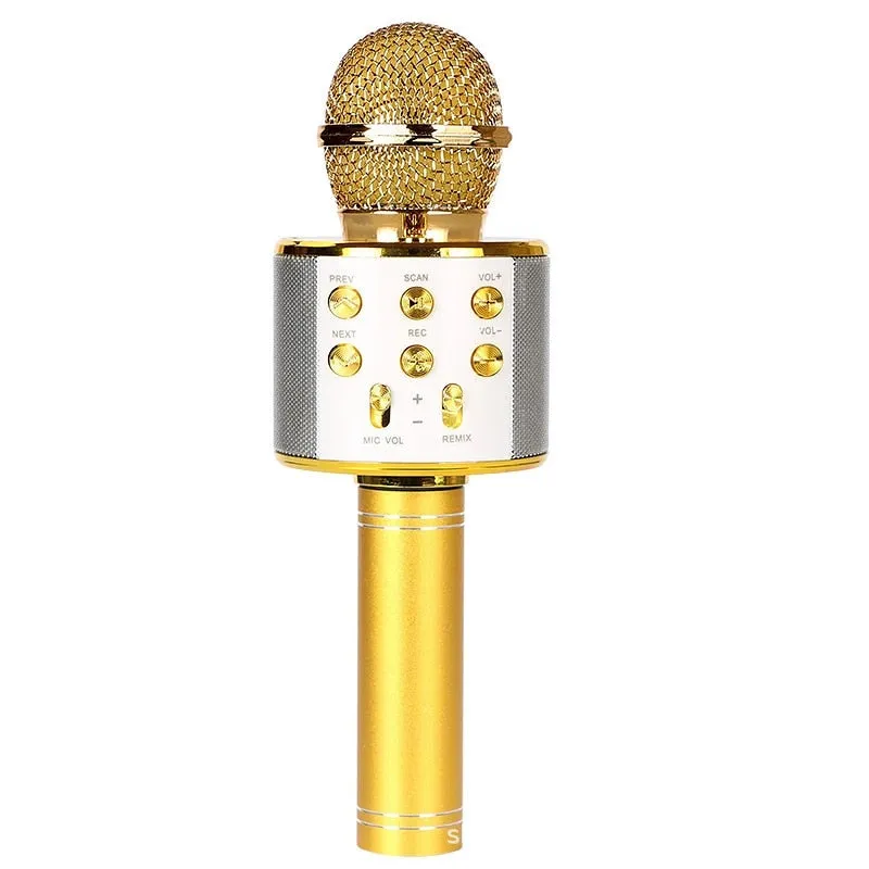Handheld Karaoke Microphone for Kids/Adults