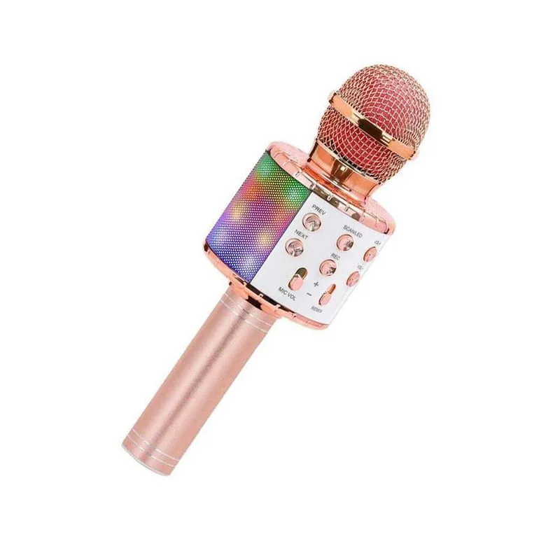 Handheld Karaoke Microphone for Kids/Adults