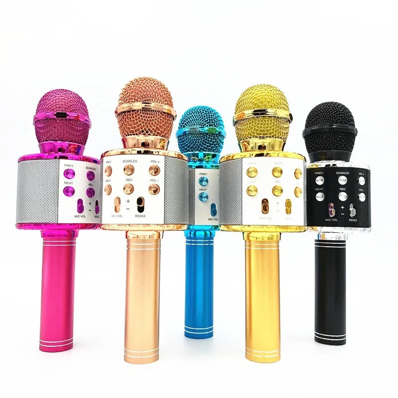 Handheld Karaoke Microphone for Kids/Adults