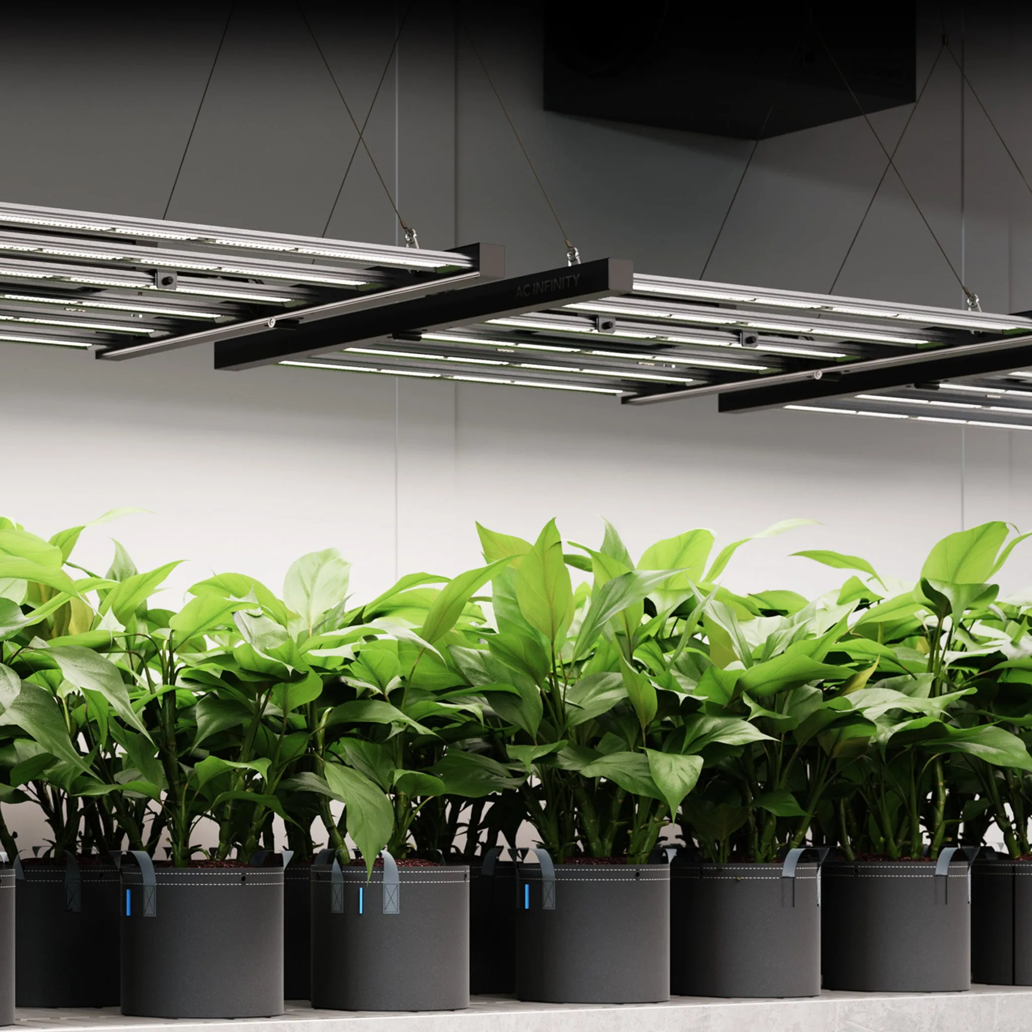 IONFRAME EVO3, Samsung LM301H EVO Commercial LED Grow Light, 280W, 2x4 ft.