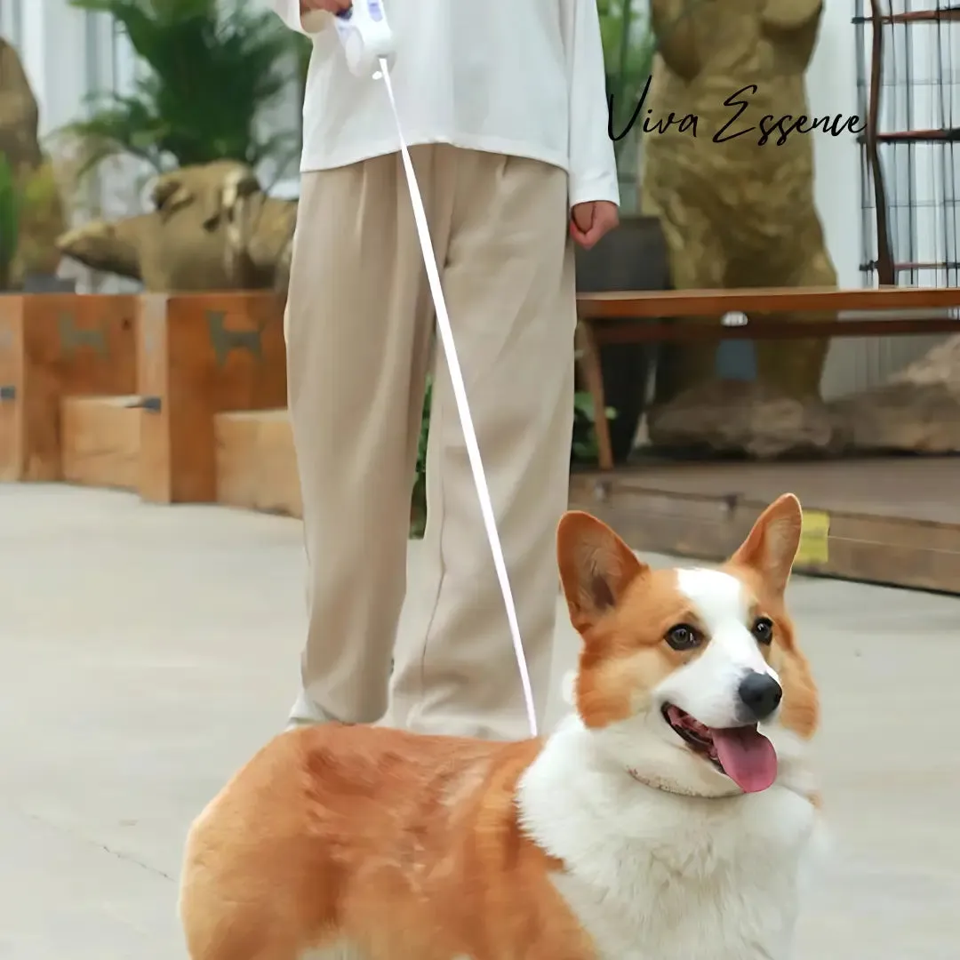 LED Retractable Dog Leash for Night Walks