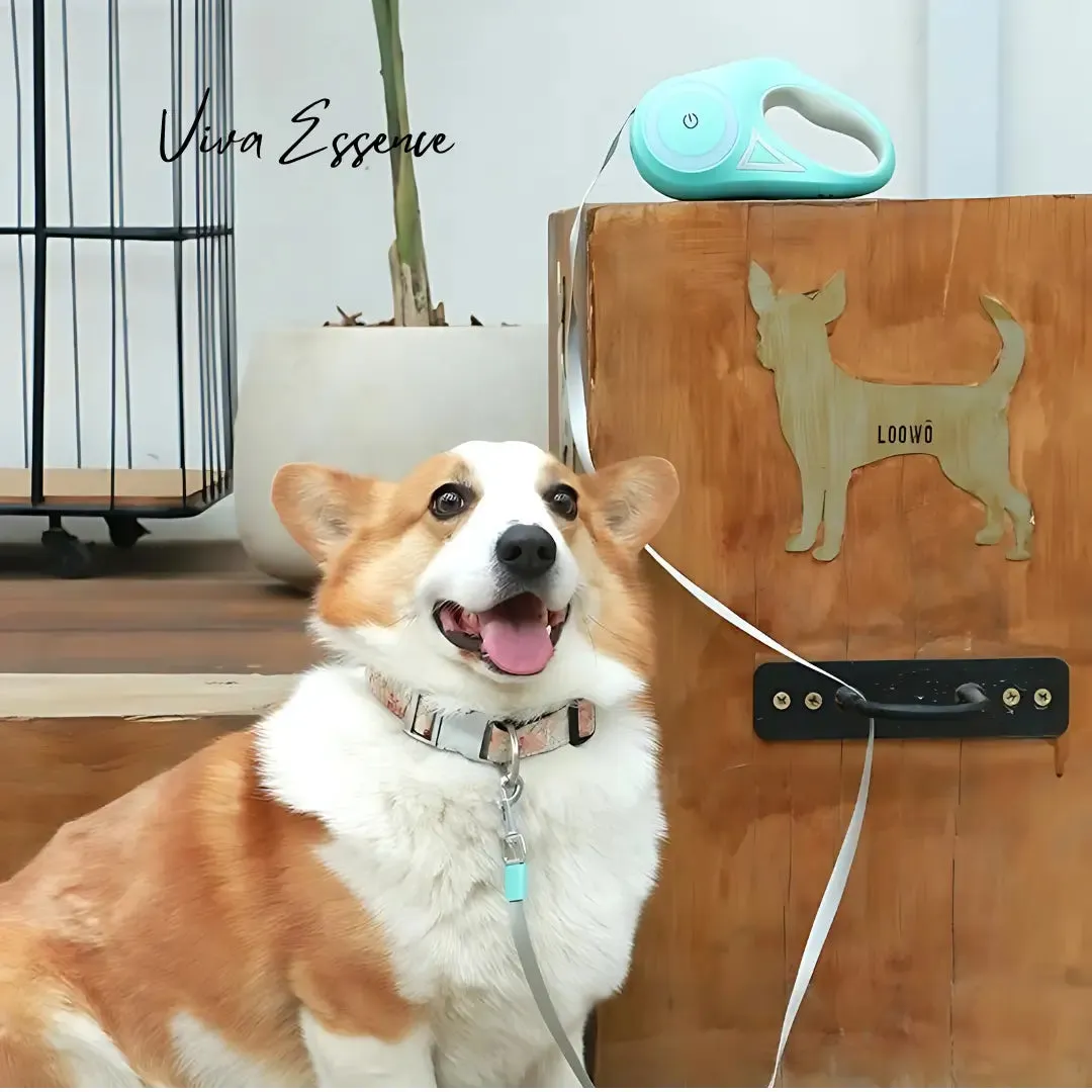 LED Retractable Dog Leash for Night Walks