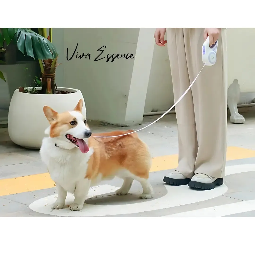LED Retractable Dog Leash for Night Walks