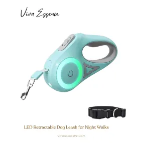 LED Retractable Dog Leash for Night Walks