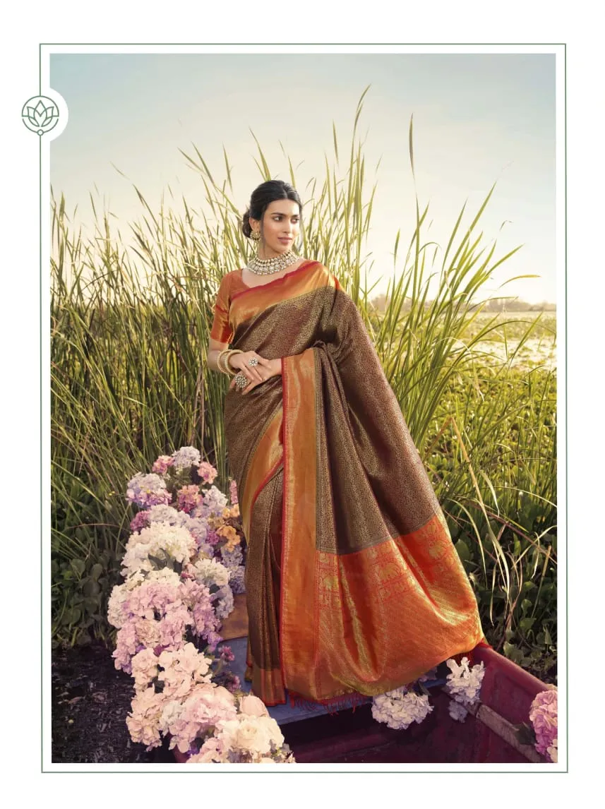 Pankh Parampara Silk 3 Festive Wear Saree Collection (1755x13)