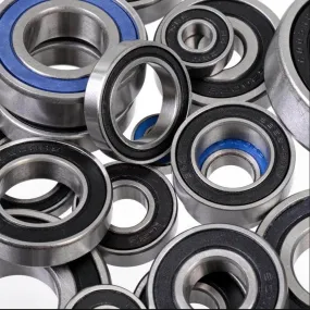Sealed Bearing