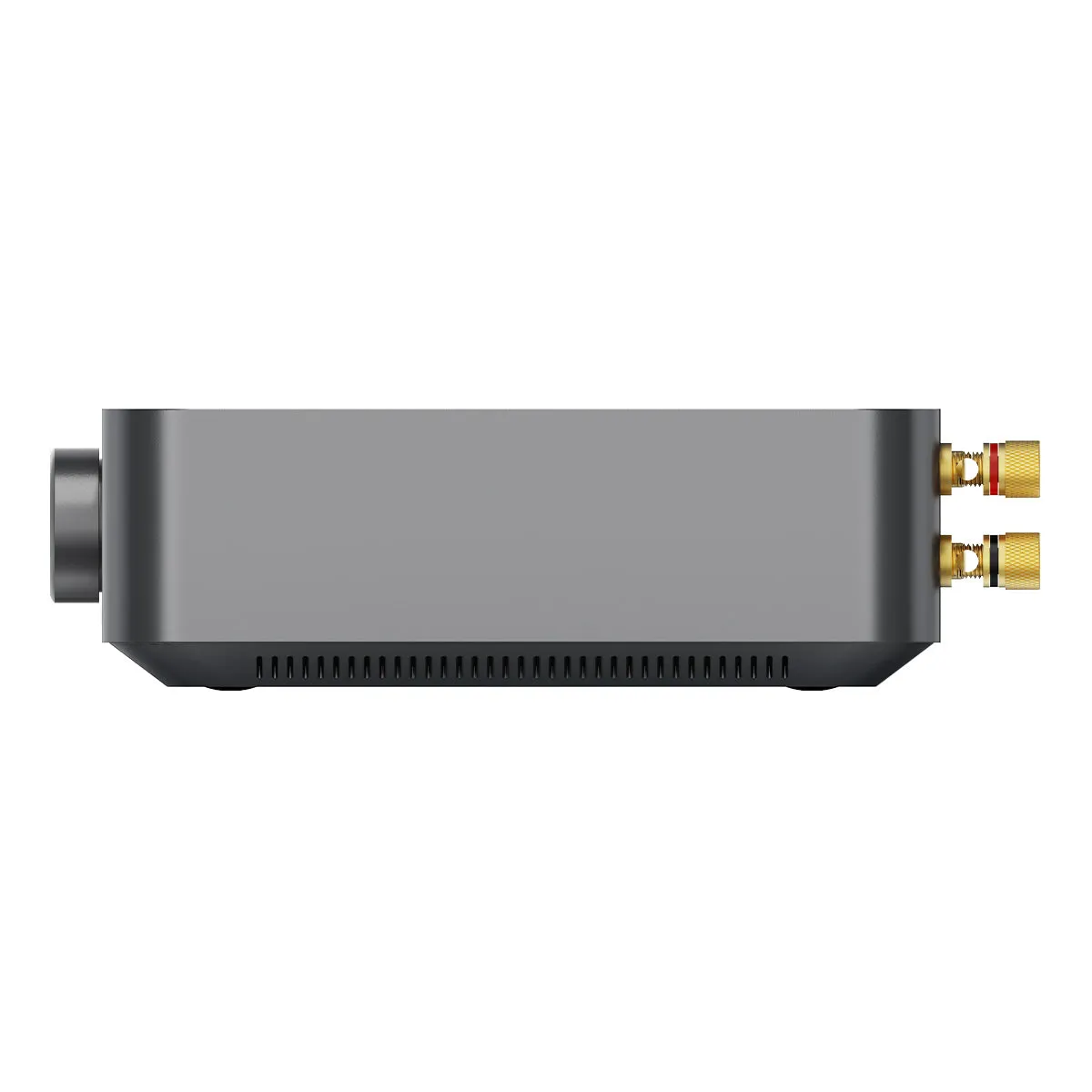 WiiM Amp Multiroom Streaming Amplifier with AirPlay 2, Chromecast, & Voice Control (Grey)